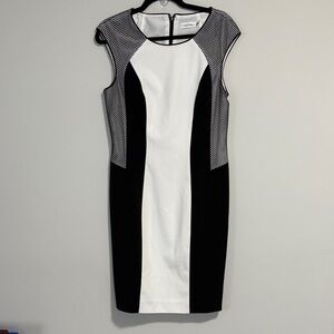 Calvin Klein Colorblock Mesh Sleeveless Dress Size 10 White/Black NWT